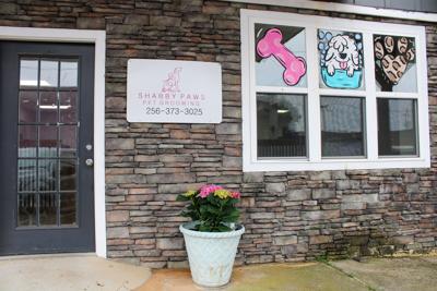New pet groomers opens in Dadeville