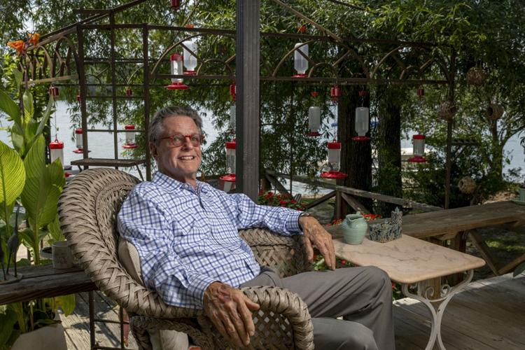 Hundreds of Hummingbirds