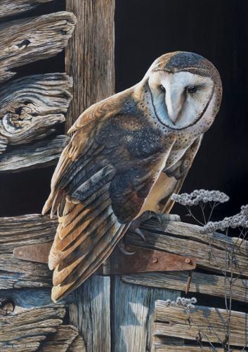 Denney captures trio of awards at Lake Martin Living Art Walk