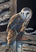 Denney captures trio of awards at Lake Martin Living Art Walk