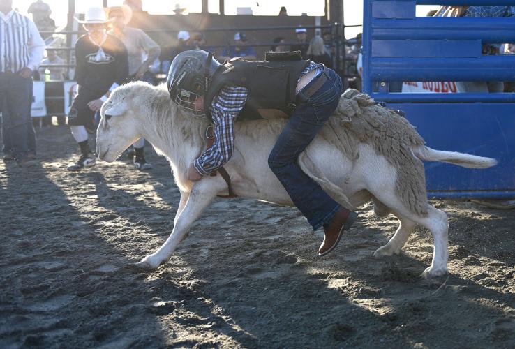 Wetumpka FFA Alumni Rodeo