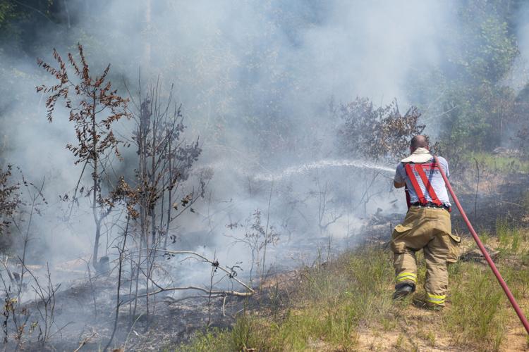 PHOTOS: Brush fire between Riverchase Drive and Sturdivant Road