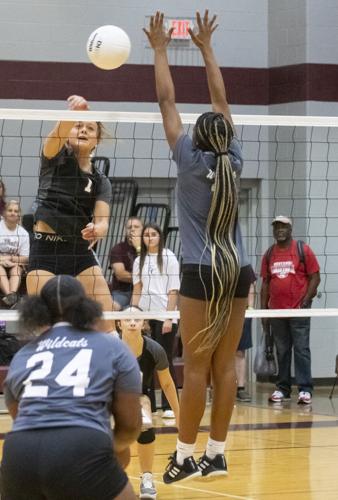 PHOTOS: Elmore County volleyball hosts block party