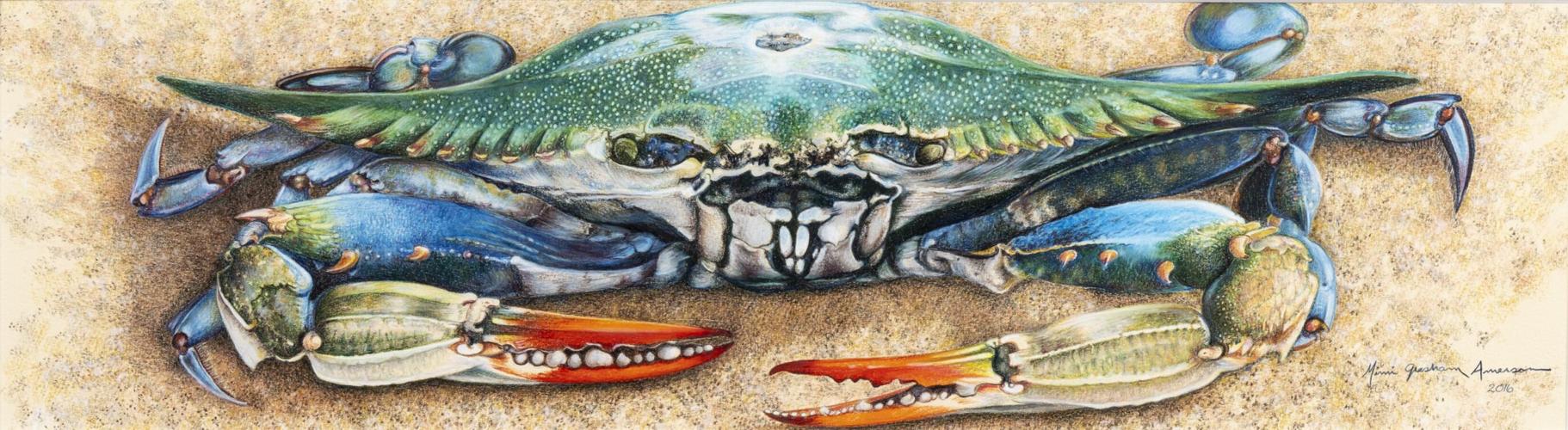 Lake Martin Living Art & Photo Contest