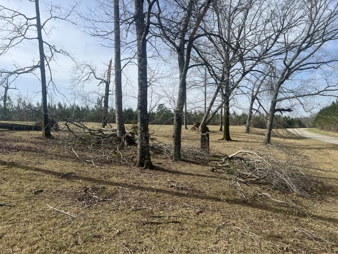 PHOTOS: Tornado damage and cleanup in Tallapoosa County