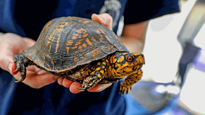 Discover Nature at Yates Lake