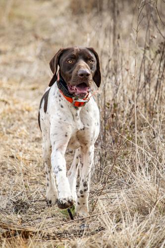 Crimson Acres_edit_34.jpg