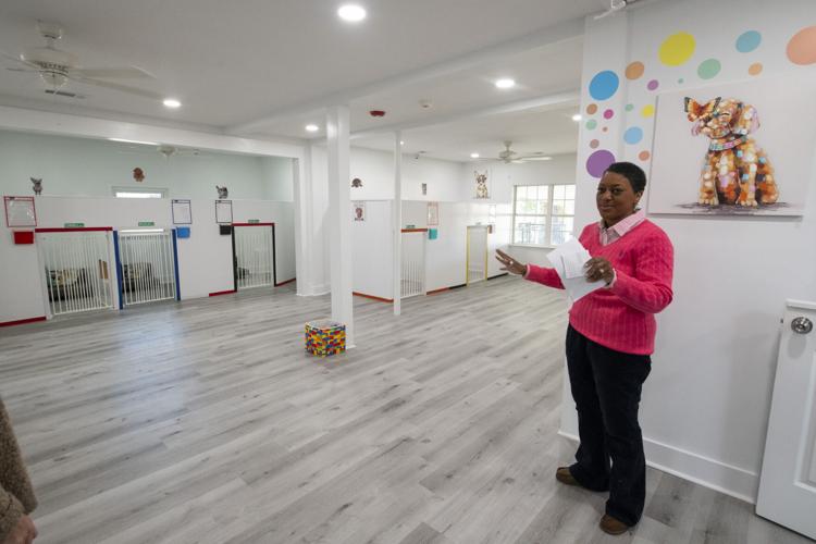 PHOTOS: Dogs now learning at Fur Baby Univeristy