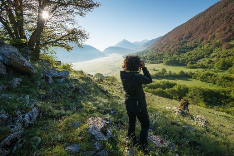 Wolf Tracking in Italy