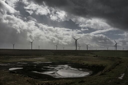 Humansdorp already suffered heavy losses during the previous foot-and-mouth crisis in 2024