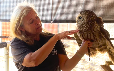 Raptor Ridge educates public on caring for the birds around us