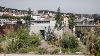 This city turned its rooftops into a climate shield