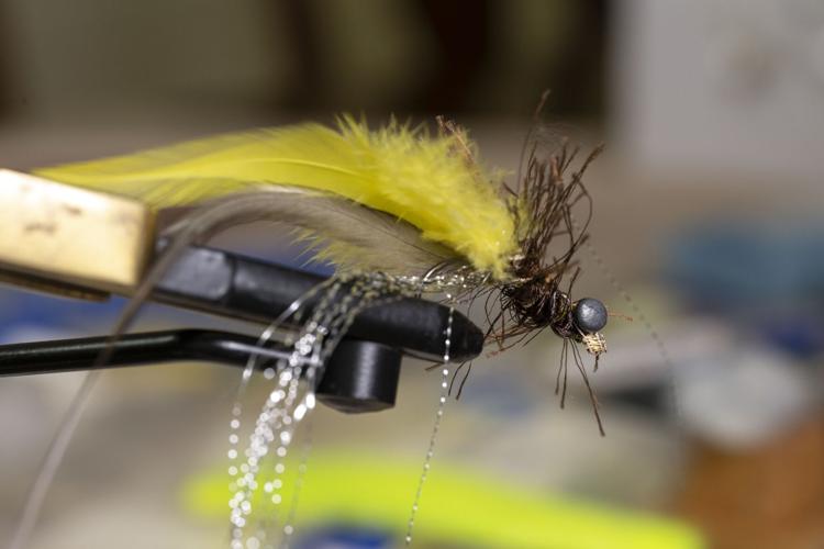 The Lure of Bugs