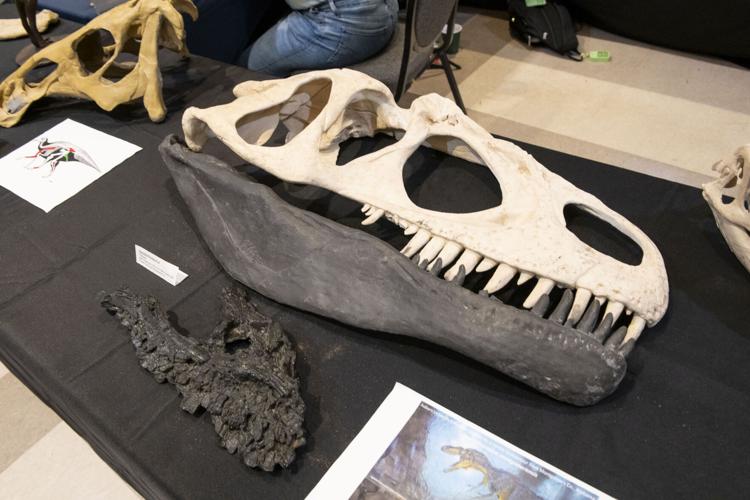 20260311 Crater 005.jpg