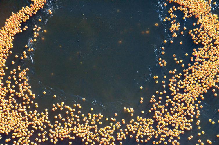 Duck proves lucky for Montgomery man, Rotarians