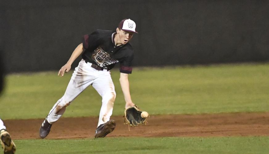 BRHS Elmore County baseball