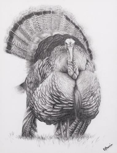 Art & Photography Contest Winners