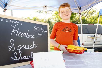 Young entrepreneurs take over the market