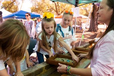 Cotton Corner: Cotton Festival preps for its 30th year