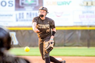 Herald Fan's Choice Player of the Week