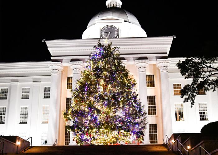 State Christmas tree hails from Rockford