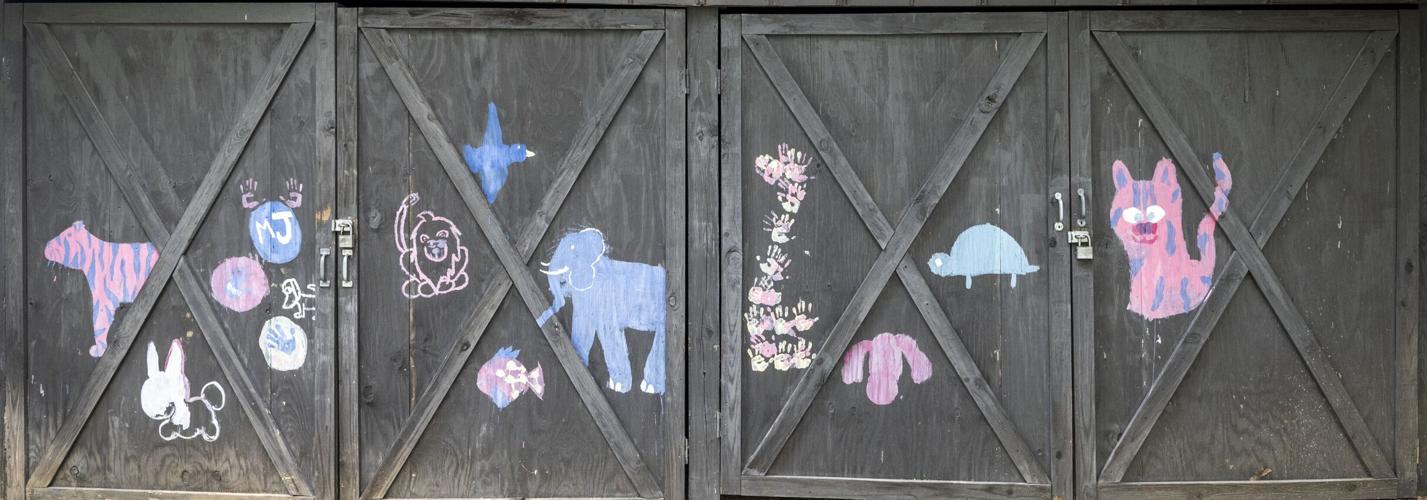 The house that love drew