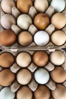 One Step Toward a Dream