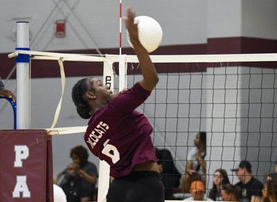 071126 BR VB play date 03.jpg