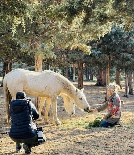 Photograph of Skydog Founder Clare Staples with Sunny and Birch, two wild horses rescued from the slaughter pipeline.