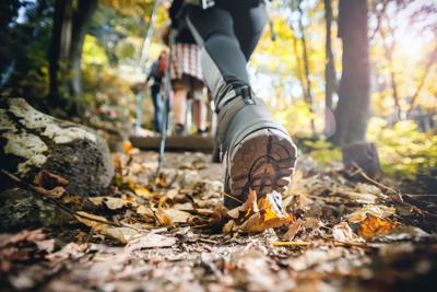 Hiker woman with trekking sticks climbs steep on mountain trail,