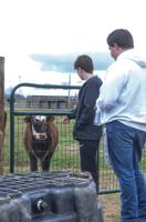 From farm to cafeteria