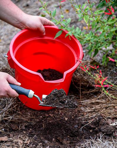 Best way to spend $10 in your garden