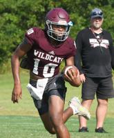 Light-years ahead: Expectations astronomical for Wildcat football