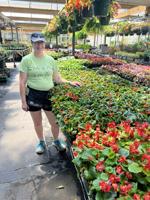 Ms. Cheap: Gardening experts say these plants are 'most likely to succeed'