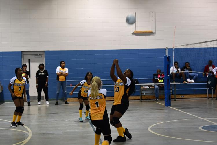 PHOTOS: Alex City Parks and Rec volleyball second night of games