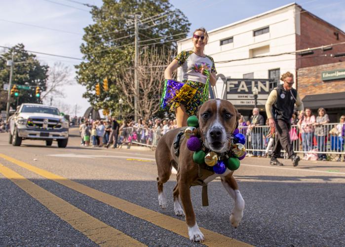 Order of Cimmaron Mardi Gras parade