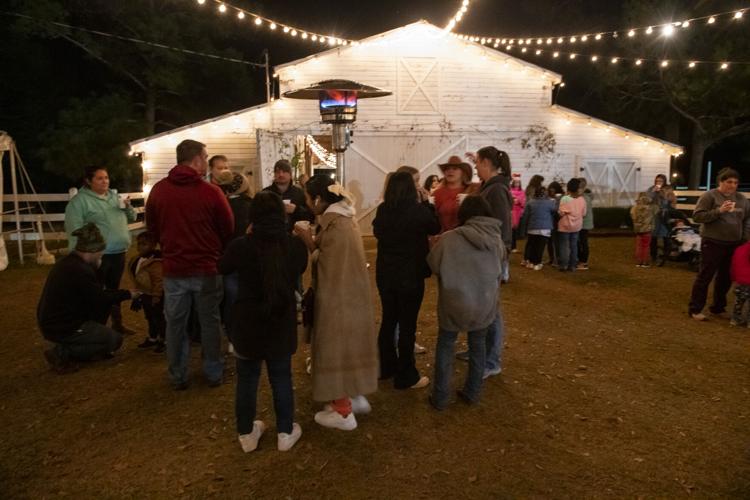 PHOTOS: An Eclectic Christmas