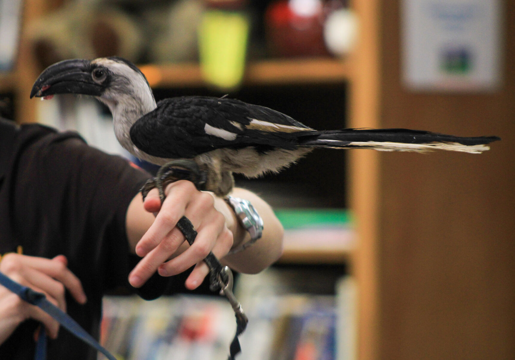 PHOTOS: Animal Tales comes to Dadeville's library