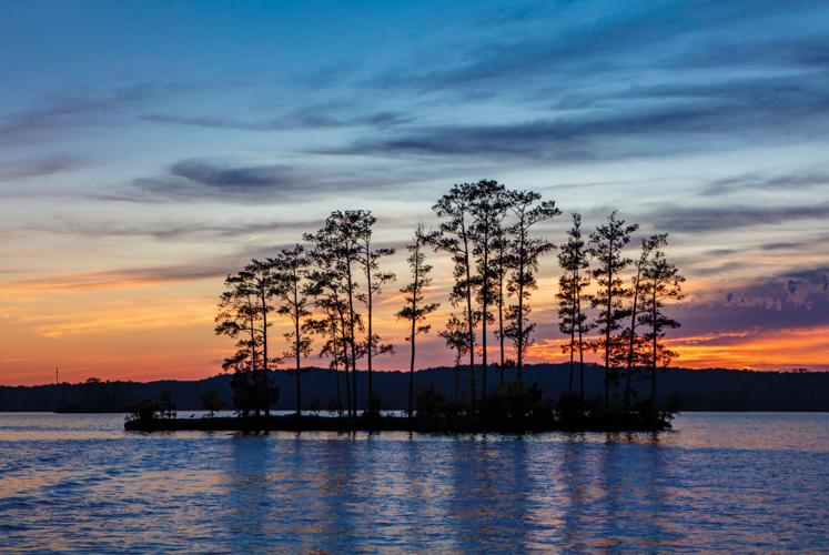 Alex City native captures beauty of area in Times photo essay