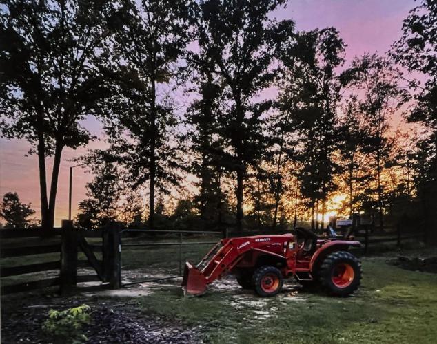 Lake Martin Living Art & Photo Contest