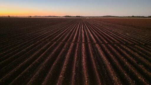 Thousands of white Zimbabwean farmers were evicted in a botched land reform programme in the early 2000s