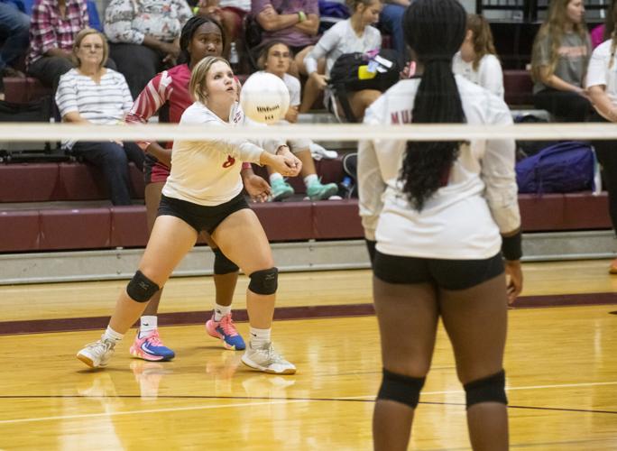 PHOTOS: Elmore County volleyball hosts block party