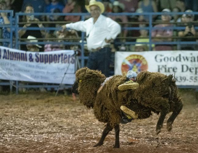 PHOTOS: Benjamin Russell FFA Alumni Rodeo