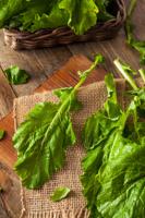 Raw Organic Turnip Greens