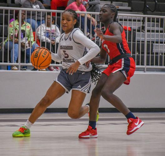 BRHS New Court 010.jpg