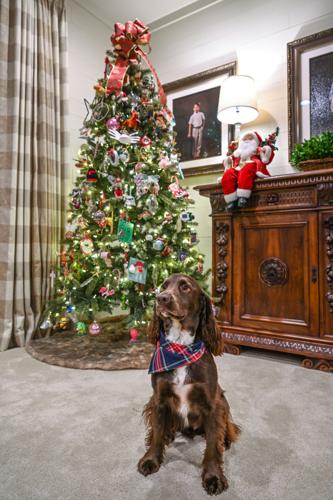 Christmas at the Lake