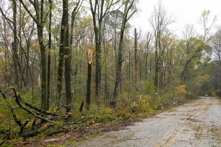 PHOTOS: Storm damage across Elmore County