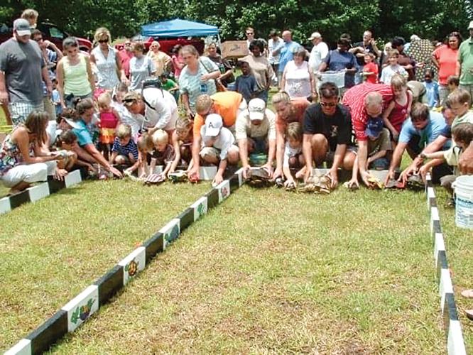 Turtle racing event that used to attract large crowd would celebrate 40 years this month