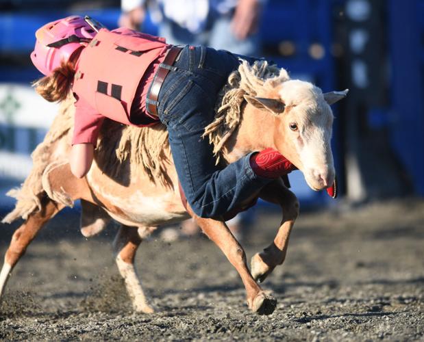 Wetumpka FFA Alumni Rodeo