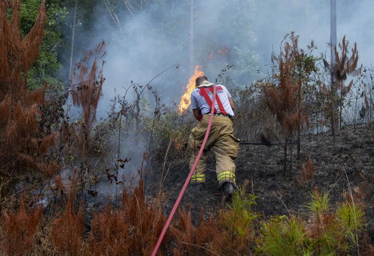 PHOTOS: Brush fire between Riverchase Drive and Sturdivant Road